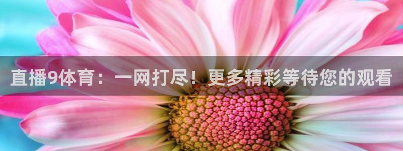 直播9体育：一网打尽！更多精彩等待您的观看