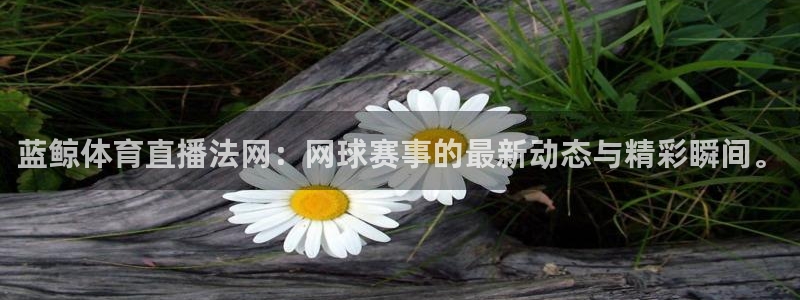 蓝鲸体育直播法网：网球赛事的最新动态与精彩瞬间。