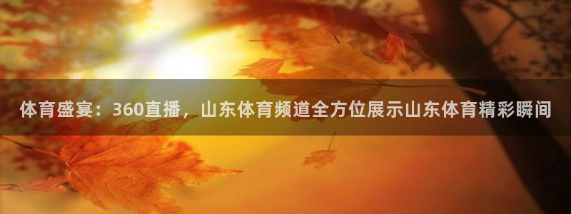 体育盛宴：360直播，山东体育频道全方位展示山东体育精彩瞬间