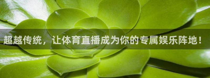 超越传统，让体育直播成为你的专属娱乐阵地！