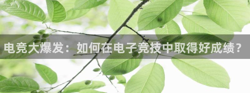 电竞大爆发：如何在电子竞技中取得好成绩？
