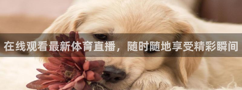 在线观看最新体育直播，随时随地享受精彩瞬间