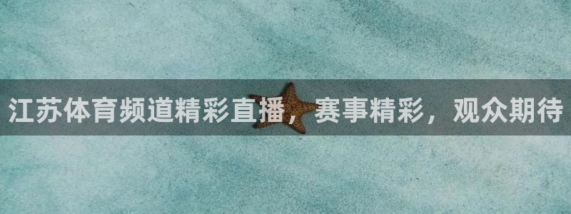 江苏体育频道精彩直播，赛事精彩，观众期待