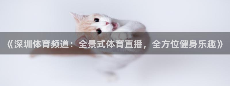 《深圳体育频道：全景式体育直播，全方位健身乐趣》