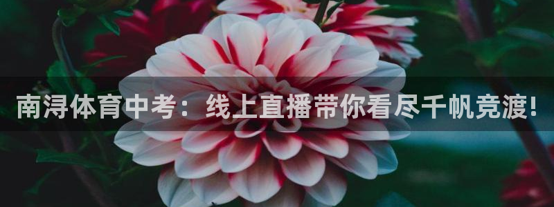 南浔体育中考：线上直播带你看尽千帆竞渡!