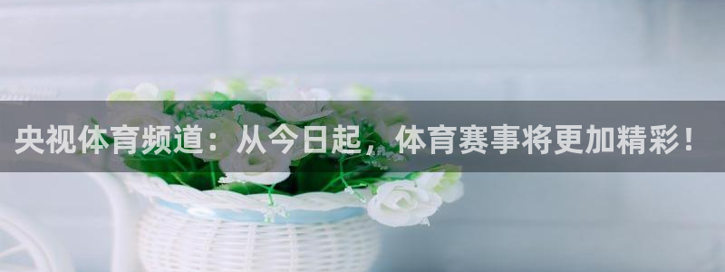 央视体育频道：从今日起，体育赛事将更加精彩！