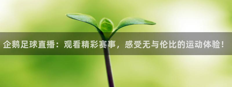 企鹅足球直播：观看精彩赛事，感受无与伦比的运动体验！